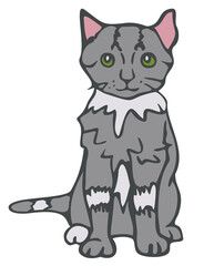 Vector illustration of hand drawn cat. Isolated cat colored and depicted by a line.