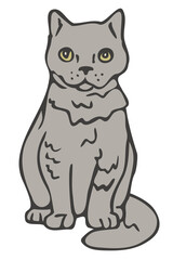 Vector illustration of cat. Isolated hand drawn cat.
