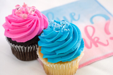 Beautiful Pink and Blue Muffins with Miniature Baby Bottles and Soothers