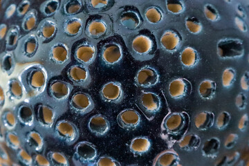 Blue Background with round holes