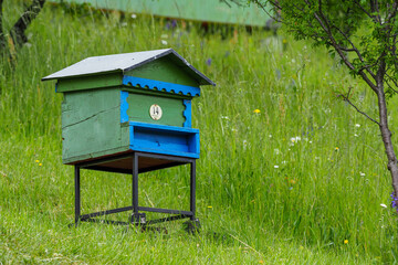 bees and apiaries on a green meadow