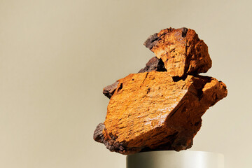 Chunks of natural Chaga mushroom (Inonotus obliquus) on a pastel background. It grows on a birch...
