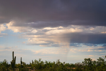 Fototapeta premium Scattered rainfall from cloudy sky over the Arizona desert
