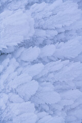 Closeup view of a frozen winter landscape on top of the mountains. Trees are covered in snow after massive snowfall and powerful blizzard. Nature photography.