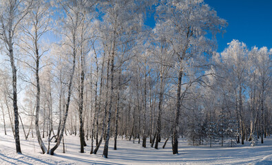 Winter landscape in Central Siberia