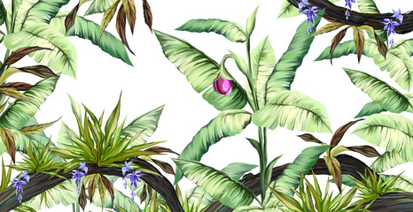 tropical plants art drawn on a white background, wall murals in a room or interior