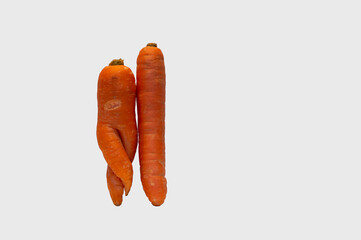 Deformed carrot resembling human body shape next to straight carrot isolated on white