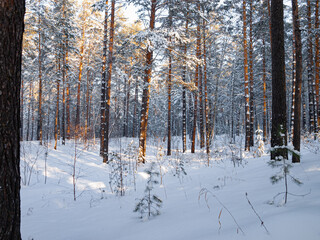Winter landscape in Central Siberia