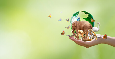 Earth Day or World Wildlife Day concept. Save our planet, protect green nature and endangered...