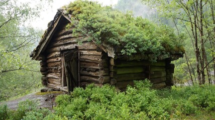 Old house in the Norway woods © Георгій Олійник