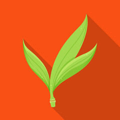 Isolated object of leaf and sugar sign. Graphic of leaf and green stock symbol for web.