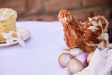 Easter cake, pastel multicolored eggs, narcissus flowers and chicken. Easter post card concept. Seasonal festive background. Cottagecore and naturecore aesthetic.