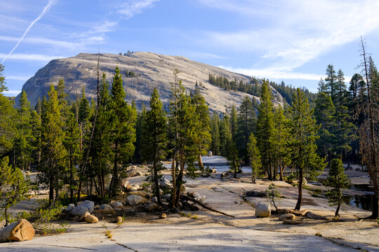 Wide landscape of Yosemite National Park
