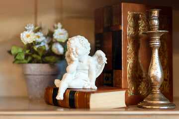Amur. Cupid figure. Vintage. Boy angel on bookshelf with flowers and books. Valentine's Day. Eros....