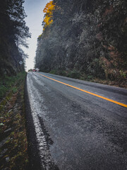 road in the autumn