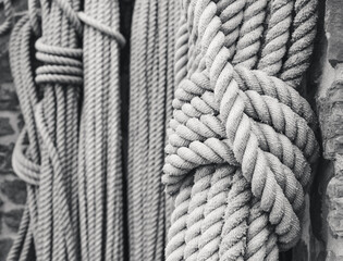 A tied rope hangs among other ropes of different thicknesses. Black and white photo