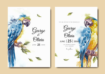 Wedding invitation with beautiful blue and gold macaw parrot watercolor