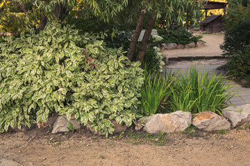Fragment of the park with landscape design. Path along a flower bed with bushes and herbs.