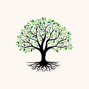 green tree root vector logo design