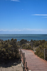 Obraz premium camino al mar