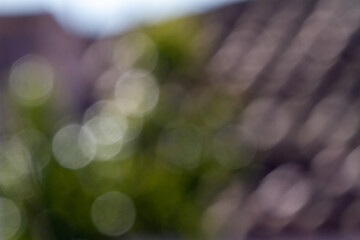 Abstract background blur obtained from leaves of trees in the field. Green and gray bokeh in...