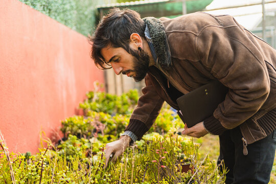 gardener checking the condition and growth of plants at home