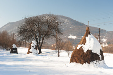 Piles of dry hay on a background of white snow and snow-capped mountains with blue sky.