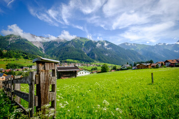 Alpine meadow in the mountains