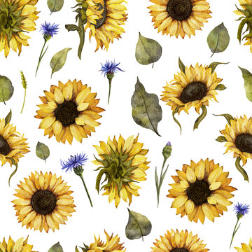 Watercolor hand drawn illustration. Seamless pattern with sunflowers, leaves and wildflowers
