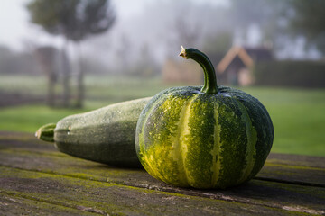 Pumpkin on a wooden table