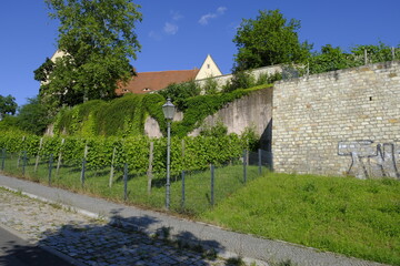 Kirche des Franziskanerkloster in Zeitz, Burgenlandkreis, Sachsen-Anhalt, Deutschland
