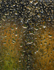 rain drops on a window