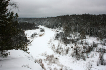 Trees on the bank of the river in the snow