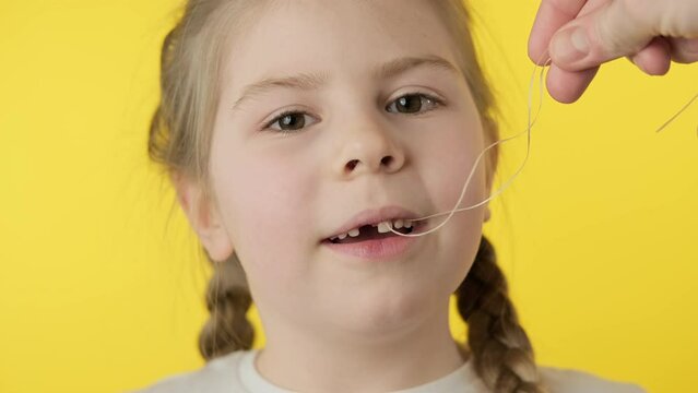Toothless girl getting ready to pull tooth using thread at yellow background. Loss of deciduous tooth. Baby with pigtails. Close-up in 4K, UHD