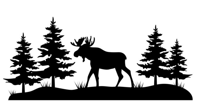 vector forest pine moose