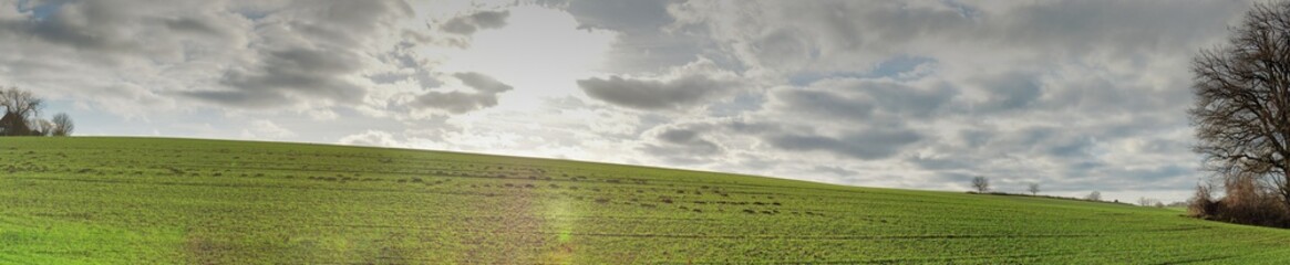 Obraz premium Panoramic shot of a hill