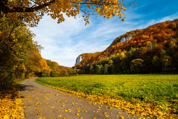 dolina będkowska jesienią