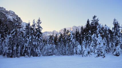Saisera valley in the winter morning, Italy