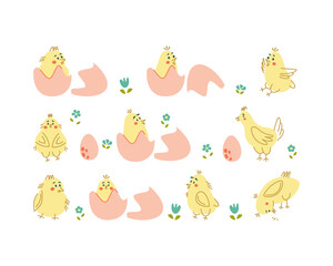 Vector collection with cute chicken, eggs and flowers. Elements for childish and Easter design.