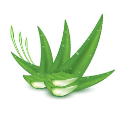 Aloe Serum9
