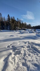 winter landscape by the river