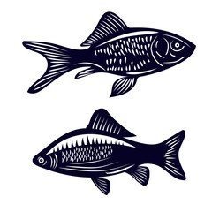Fish vector silhouettes black on white. Set of marine animals in monochrome style illustration