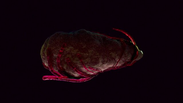 Invasive cancer infection growth, Abstract organ is surrounded by of alien tentacles 3D animation