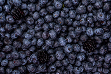 Juicy and fresh blueberries on a rustic table., top view.  Blueberry Antioxidant. Healthy and nutrition concept