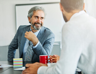 senior businessman office work business meeting  mature gray hair portrait happy lawyer entrepreneur