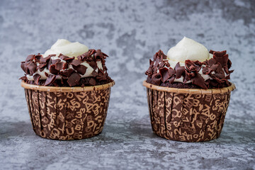 Chocolate Cupcakes with gray background