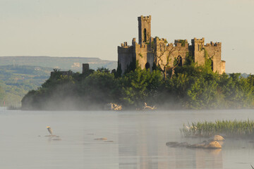 mc dermotts castle island at sunrise in summer, lough key lake, ireland