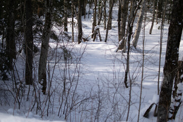 Random words in the winter