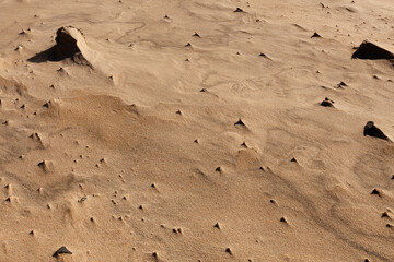 Fototapeta na wymiar traces on the sand