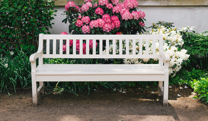 Wooden white bench in the city spring park, lush green parkland. Season of flowering azaleas